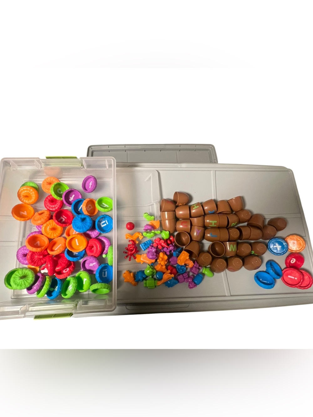 Learning Resources Alphabet Acorns Letter Matching and Sorting Toy Set